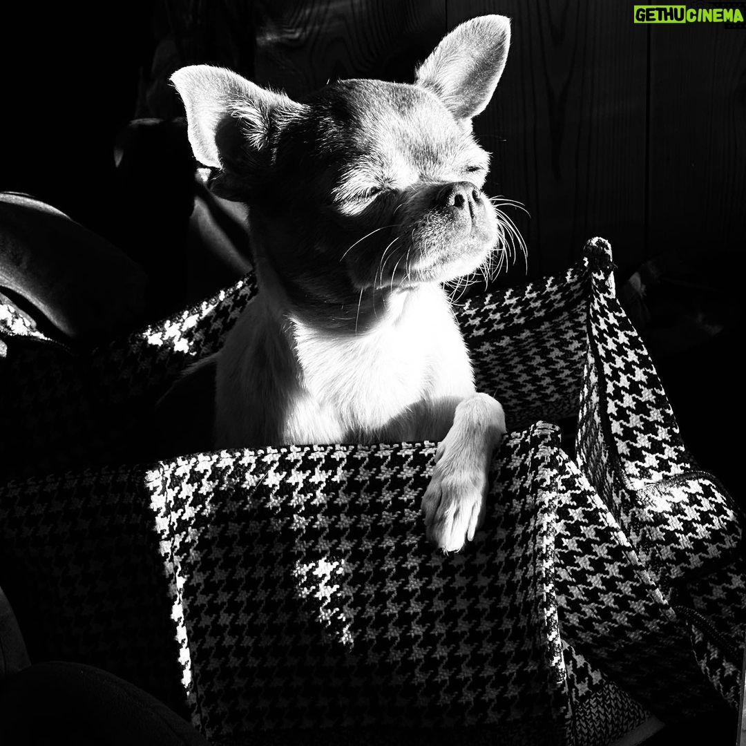 Nona Sobo Instagram - Nunca me había amado tanto como lo hago ahora. Que, aunque me cuestiono, me elijo; aunque me reprocho, me entiendo; aunque me juzgo, me perdono. Y, sobre todo, me acepto. Voy construyendo de a poco, sin presión y en paz, mi versión más honesta.