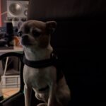 Nona Sobo Instagram - Casi un año…en un coche…riéndonos…comentando que soñaba con cantar… pero de momento solo me atrevía en la ducha… entonces y entre risas empezó a tejerse el plan, los profesionales que se atreven y apuestan por tí… los amigos que apoyan y animan… Tenéis disponible la canción en todas las plataformas, espero que os gushtee🤍