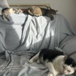 Nona Sobo Instagram - Estoy aprendiendo A estar orgullosa de mí incluso cuando me equivoco. A valorarme incluso cuando no me siento suficiente. A quererme incluso en esos días en los que no me siento bien con mi apariencia. A confiar en mí incluso cuando me siento perdida. Porque no se trata de esperar a estar bien para poder quererme. Se trata de aprender a quererme incluso cuando no estoy bien. Barcelona, Spain