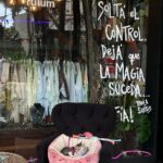 Nona Sobo Instagram - Déjame un Sol más Cerca de la piel y dime: Je t’aime Hasta que se apague el fuego Dime la verdad ¿no te va a doler? -El dolor se va Lo que más quema es el miedo +Y qué es peor: ¿Intentarlo o no haberlo conseguido? -Lo peor de todo es lograrlo y por no cuidarlo darlo por perdido Carcel