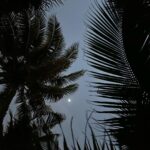Nona Sobo Instagram - Cariño, a veces te comportas como el mar, a veces en calma y a veces tengo que nadar para no ahogarme.