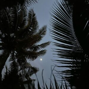 Nona Sobo Instagram - Cariño, a veces te comportas como el mar, a veces en calma y a veces tengo que nadar para no ahogarme.