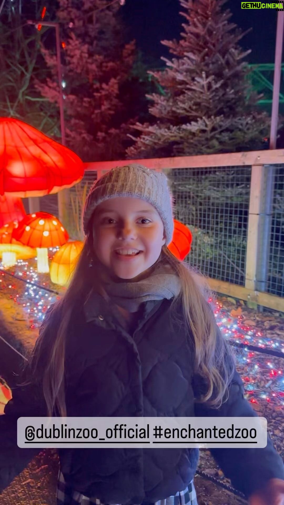 Norah Casey Instagram - Aria says it all #amazing @dublinzoo_official #enchantedzoo 💚