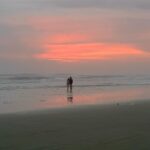 Norah Casey Instagram - Sunrise on the second day of December here in misty @new.smyrna.beach … the fog rolling in from the sea brings its own ethereal beauty… gently easing my way into a new day ahead… there’s a whole big planet out there, and so many people waking up to hard days ahead…. I only know one way to get through those days… get up, watch the sun rise and put one foot in front of the other 🙏 #mothernatureheals New Smyrna Beach, Florida