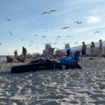 Norah Casey Instagram - A few exotic visitors to South Beach today… as well as me 😉 lots of jelly fish and low flying birds… they mingled well with all the other exotic visitors who flock here for the beautiful #southbeachvibe the gorgeous art deco facades, buzzy cafes and #anythinggoes culture… where the #uberwealthy meet the #happyhippies - there is nowhere quite like it… and every second whiff is a blast of #sweetleaf (you know what I mean 😀) #southbeachmiami #foronedayonly #lovedvisiting #miamilife South Beach, Miami