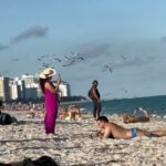 Norah Casey Instagram - A few exotic visitors to South Beach today… as well as me 😉 lots of jelly fish and low flying birds… they mingled well with all the other exotic visitors who flock here for the beautiful #southbeachvibe the gorgeous art deco facades, buzzy cafes and #anythinggoes culture… where the #uberwealthy meet the #happyhippies - there is nowhere quite like it… and every second whiff is a blast of #sweetleaf (you know what I mean 😀) #southbeachmiami #foronedayonly #lovedvisiting #miamilife South Beach, Miami