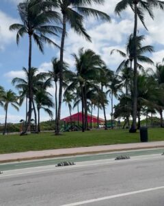 Norah Casey Instagram - South Beach… a little slice of life - and they’ve upgraded the goldfish bowl cocktails to mahoosive mugs 😂 no sugar #mohijto treat for me soaking up the sunshine and the amazing people watching … always with a little side of insulin (maybe a big one after all that travelling and the sun.. you know what it does 😅) #happydays #southbeachmiami #itslifebutnotasweknowit ☀️