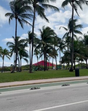 Norah Casey Instagram - South Beach… a little slice of life - and they’ve upgraded the goldfish bowl cocktails to mahoosive mugs 😂 no sugar #mohijto treat for me soaking up the sunshine and the amazing people watching … always with a little side of insulin (maybe a big one after all that travelling and the sun.. you know what it does 😅) #happydays #southbeachmiami #itslifebutnotasweknowit ☀️