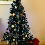 Norah Casey Instagram - Of course as we go through life Christmas also reminds us of absences, the family and loved ones we miss, those who have gone and those who can’t be with us. Like many people I have certainly been through difficult Christmases and it takes time to rediscover the wonderfulness. And I’m always late putting up the tree… but I get there eventually 😅 When I was growing up the tree didn’t go up until Christmas week. It was all about the excitement and anticipation. And thankfully the pre-Christmas flutters were mercifully short, starting when the school bell signalled the start of the holidays and we raced home to help put up the tree, just days before the big day. My dad brought down the biscuit tin filled with tinsel and home made decorations by the Casey kids. It also held a very important list… and it wasn’t Santy’s! My dad #harrycasey wrote down the price of the pint every Christmas and he ceremoniously filled in the cost bemoaning the tragedy of Guinness inflation while we fought over who would place the star on the top of the tree. Mostly our home was filled with holly and fir from the Phoenix Park and we had our own reindeer waiting patiently on those frosty days for Santy to collect them on Christmas Eve. What could be more magical. I like reusing those lovely treasured pieces from over the years that remind me of Dara’s first Christmas, the trip to London when myself and a great friend bought some (far too high-priced) baubles in Harrods, the now very chipped, but rich with memories, crib and bits and bobs that we collected on holidays. I take them all up from the basement and mix them up a bit so every year the house looks different. Last year I splashed out on some green tree decorations to mix in with the mainly white and gold that I have collected for decades. It is always beautiful to me and yours will be the same, however you choose to transform your home for the festive season… Christmas Trees are #memorytrees🎄 💚