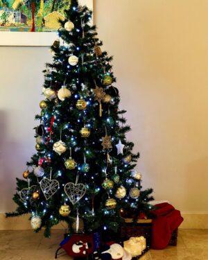 Norah Casey Instagram - Of course as we go through life Christmas also reminds us of absences, the family and loved ones we miss, those who have gone and those who can’t be with us. Like many people I have certainly been through difficult Christmases and it takes time to rediscover the wonderfulness. 
And I’m always late putting up the tree… but I get there eventually 😅
When I was growing up the tree didn’t go up until Christmas week. 
It was all about the excitement and anticipation. And thankfully the pre-Christmas flutters were mercifully short, starting when the school bell signalled the start of the holidays and we raced home to help put up the tree, just days before the big day. My dad brought down the biscuit tin filled with tinsel and home made decorations by the Casey kids. It also held a very important list… and it wasn’t Santy’s! My dad #harrycasey wrote down the price of the pint every Christmas and he ceremoniously filled in the cost bemoaning the tragedy of Guinness inflation while we fought over who would place the star on the top of the tree. Mostly our home was filled with holly and fir from the Phoenix Park and we had our own reindeer waiting patiently on those frosty days for Santy to collect them on Christmas Eve. What could be more magical. 
I like reusing those lovely treasured pieces from over the years that remind me of Dara’s first Christmas, the trip to London when myself and a great friend bought some (far too high-priced) baubles in Harrods, the now very chipped, but rich with memories, crib and bits and bobs that we collected on holidays. I take them all up from the basement and mix them up a bit so every year the house looks different. Last year I splashed out on some green tree decorations to mix in with the mainly white and gold that I have collected for decades. It is always beautiful to me and yours will be the same, however you choose to transform your home for the festive season… Christmas Trees are #memorytrees🎄 💚