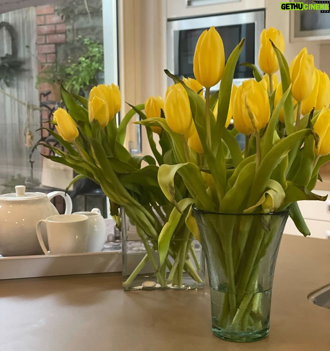 Norah Casey Instagram - Tulips make me smile… even on rainy days. And tea of course 😂 #icanbuymyselfflowers #tulips #moodboosters