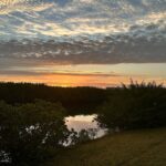 Norah Casey Instagram - Morning has broken here in #velusiacountyflorida and it’s going to be another day of new stuff…. heading south to another world #itslifejimbutnotasweknowit 👽 #softlaunch Victoria 1883