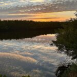 Norah Casey Instagram - Morning has broken here in #velusiacountyflorida and it’s going to be another day of new stuff…. heading south to another world #itslifejimbutnotasweknowit 👽 #softlaunch Victoria 1883