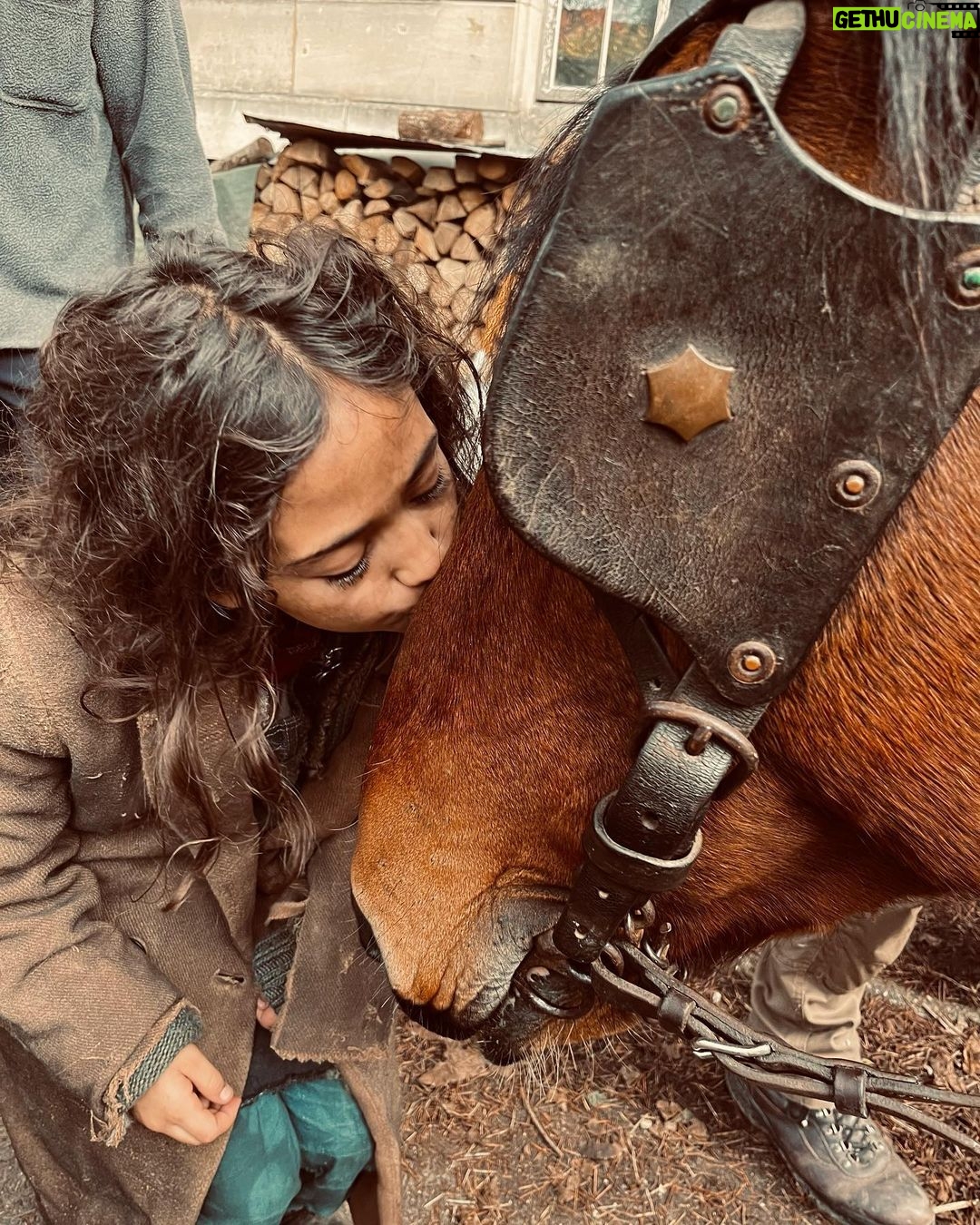 Norman Reedus Instagram - 🐴🦗❤️ Paris, France