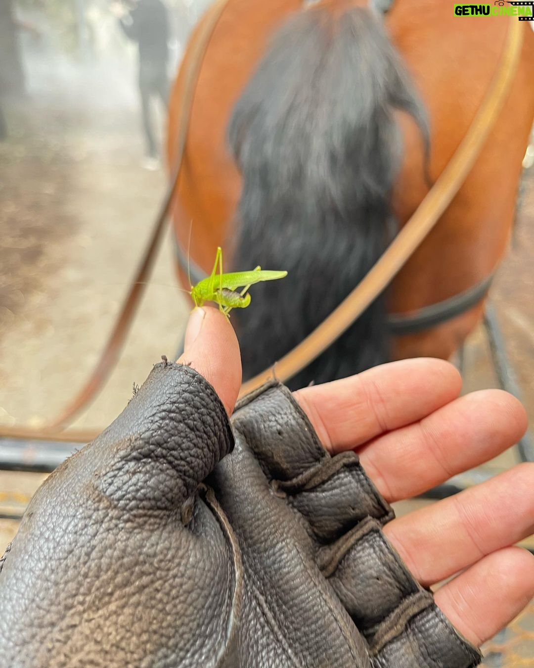 Norman Reedus Instagram - 🐴🦗❤️ Paris, France