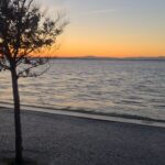 Nuno Pardal Instagram -