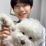 Oh Han-kyul Instagram – Good morning❤️ 
.
#오한결 #청소년배우
#열공모드✏️ #중학교1학년 
#덥지만행복해요🐶 
#꼬질꼬질해도이뻐💛 
#모닝인사하는앵두😘
#우리살구는꿈나라중😍💤