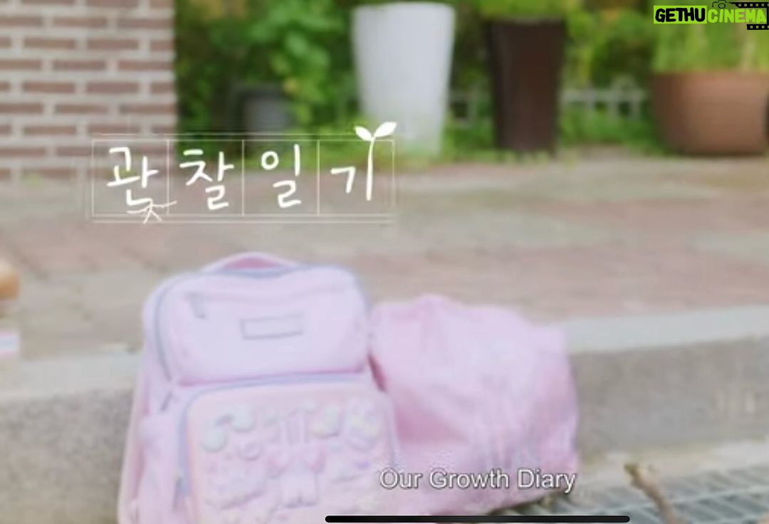 Oh Han-kyul Instagram - . 2022년 무더운 여름날 촬영했던 영화 < 관찰일기🌱> 작품이 kbs 공모전에 선정되어 공중파에서 방영하게 되었습니다. 😍 방학식이 끝나고 친구들과 놀기로 약속한 현민은 자신을 붙잡는 동생 현주와 싸우고, 홧김에 동생 방학숙제인 관찰일기 양파를 버리게되는데… < 관찰일기🌱 > 12월 21일 kbs 1tv 오전 11:00 (열린채널) 방영 어릴적 잼민이 한결이의 모습을 볼 수 있고😆 착하고 귀여운 동생 하율이 민준이 시우와 함께한 추억이 새록새록하네요💛 #오한결 #청소년배우오한결 #강현민역 #현민역 #관찰일기🌱 #어릴적추억이새록새록😊 #남매의여름🌿 #전승훈감독님 #오마주픽쳐스 #너무너무감사합니다💕