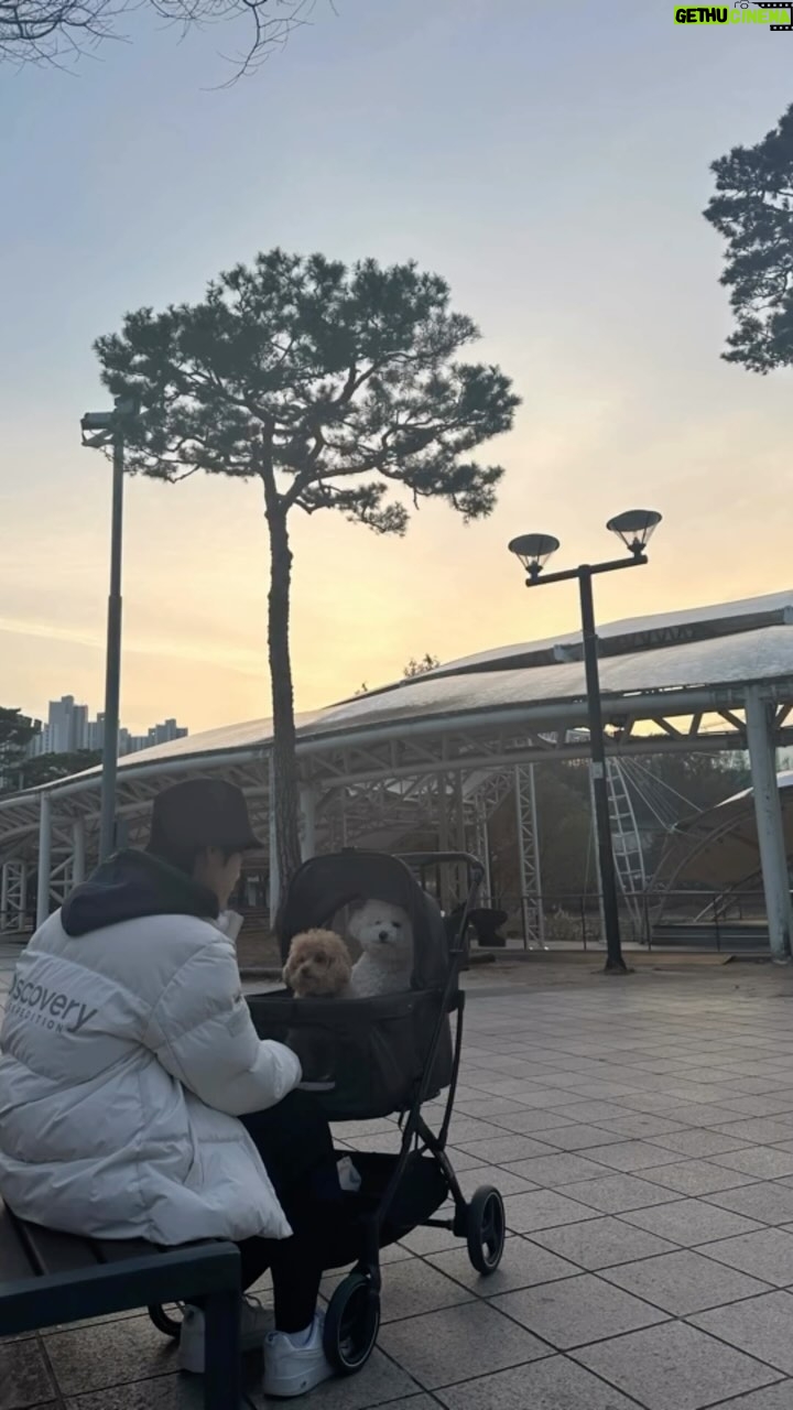 Oh Han-kyul Instagram - . 오랫만에 오빠랑 호수공원 콧바람🐾 . #오한결 #청소년배우오한결 #기분좋은공기냄세🍀☘️ #앵두살구도좋아😍 #추위타는강아지들🐶 #즐거운시간보내기🎶 동백 호수공원