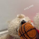 Oh Yeon-seo Instagram -