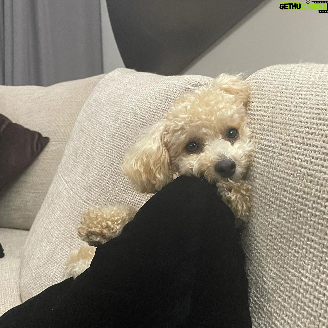 Oh Yeon-seo Instagram - 나 남한준쏜거아닌데 도와줄라한건데😫