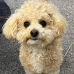 Oh Yeon-seo Instagram - 세젤귀🤭