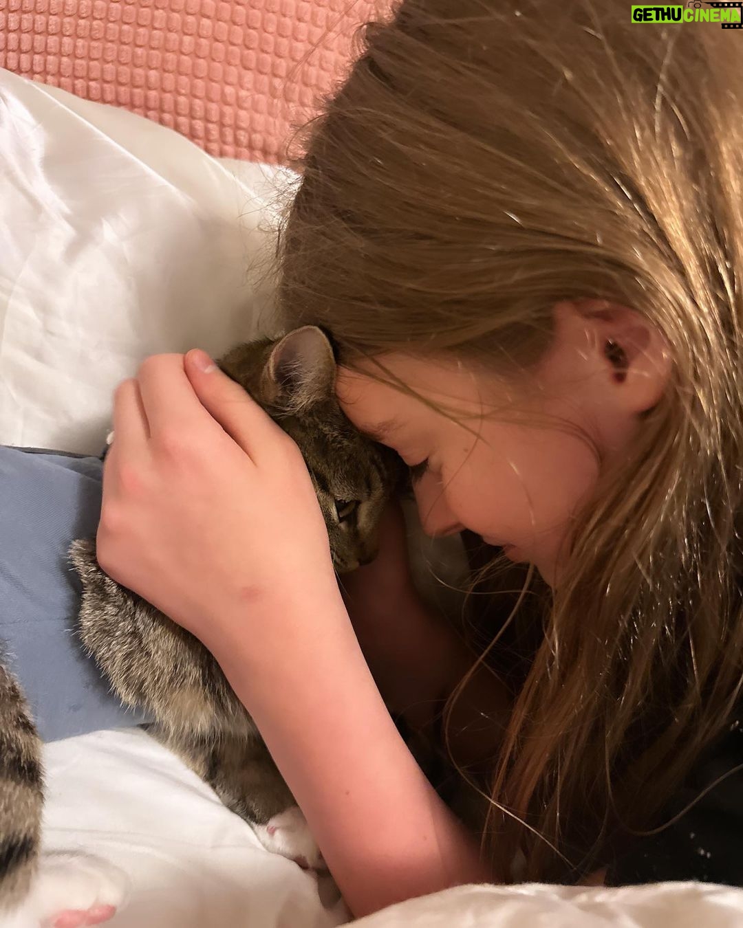 Olive Elise Abercrombie Instagram - Cat spam ahead🚨 #mistylavenderabercrombie Atlanta, Georgia