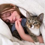 Olive Elise Abercrombie Instagram - Cat spam ahead🚨 #mistylavenderabercrombie Atlanta, Georgia