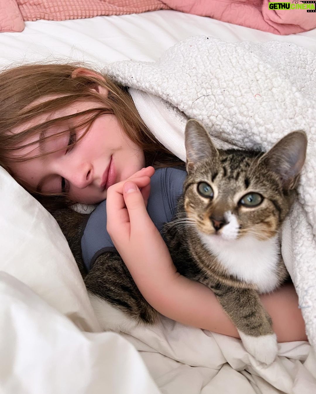 Olive Elise Abercrombie Instagram - Cat spam ahead🚨 #mistylavenderabercrombie Atlanta, Georgia