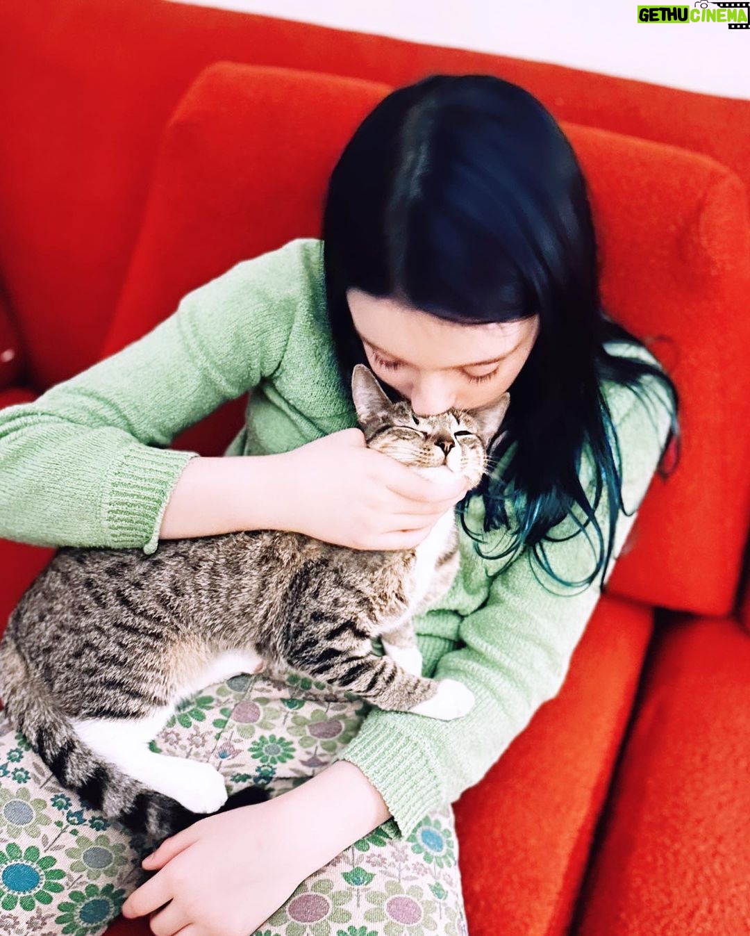 Olive Elise Abercrombie Instagram - Cat spam ahead🚨 #mistylavenderabercrombie Atlanta, Georgia