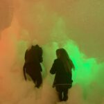 Olive Elise Abercrombie Instagram - Baby’s first Netherworld Netherworld Haunted House
