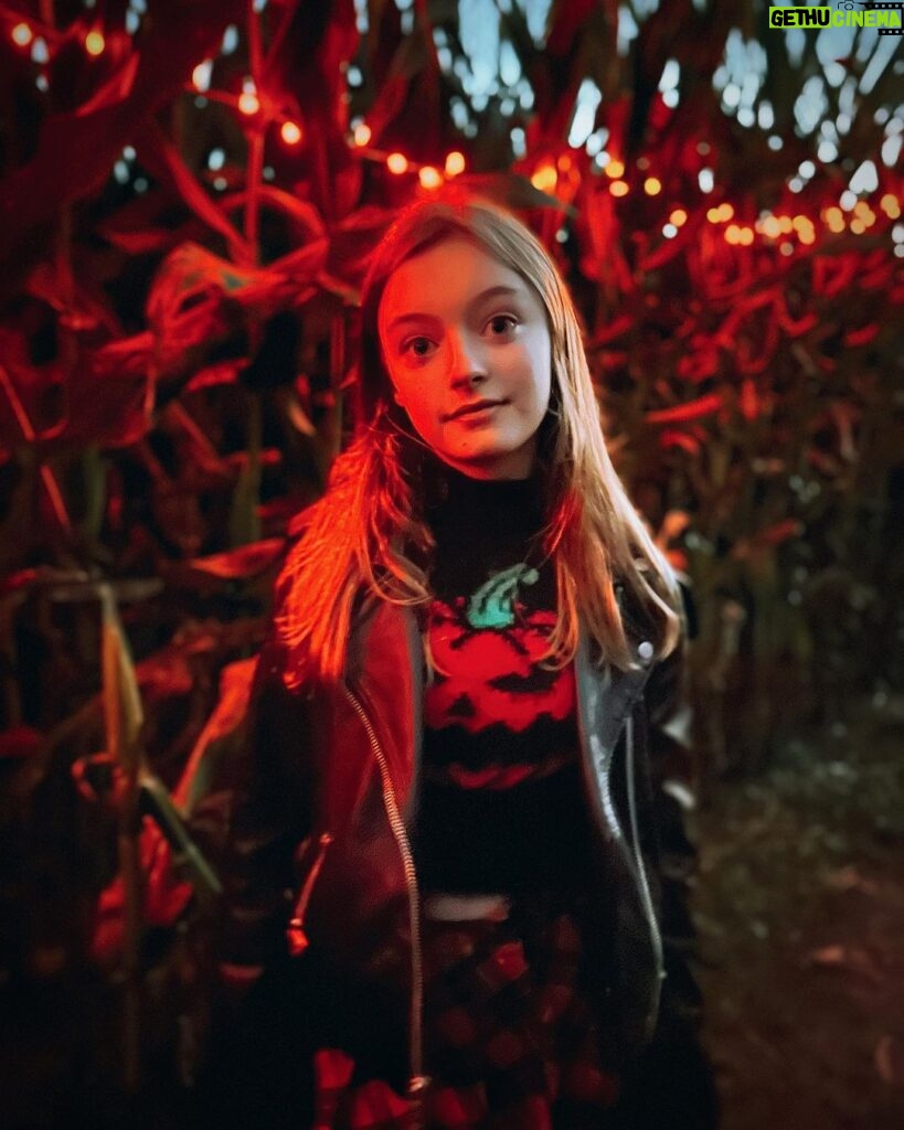 Olive Elise Abercrombie Instagram - Stretchy face pumpkin sweater bringing extra horror to the haunted corn maze this year. 🎃 🔪 Uncle Shucks Corn Maze and Pumpkin Patch