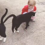 Olive Elise Abercrombie Instagram - Maybe it was always going to be a cat for this one 🐈‍⬛❤️