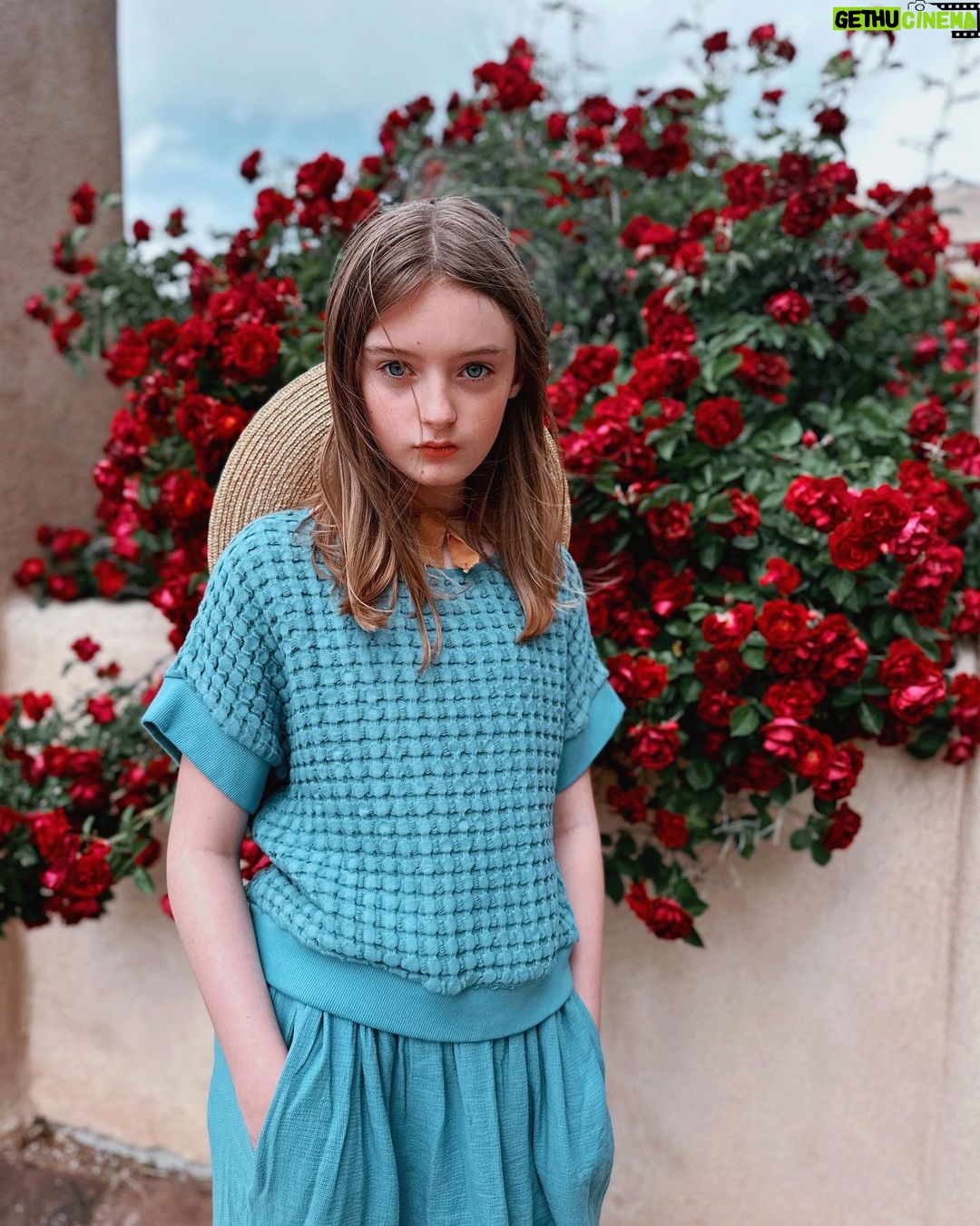 Olive Elise Abercrombie Instagram - Belated birthday portraits 🌹12🌹