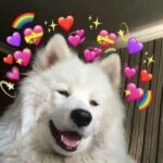 Olivia Rodrigo Instagram - thank u guys for all the love this year🥺🥺🥺 means so much to me that ppl listen to the songs I write. so grateful 💜💜