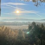 Olivia Ruiz Instagram - Avant d’être vraiment trop en retard, je tiens à vous souhaiter, ainsi qu’à ceux que vous chérissez, une année 2022 douce et joyeuse, chargée de soleil, de ciels bleus, de bienveillance, d’amour, et de folles aventures ou projets, en dépit de tout ce qui nous empêche. Et un Grrrrrrand merci à tous pour vos messages de bonne année et de joyeux annniversaire. 🥰❤️ Je vous embrasse Olivia