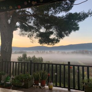 Olivia Ruiz Instagram - Belles fêtes à tous!#occitaniemonamour #montalaric #corbieres #minervois #familia #homesweethome