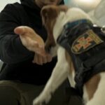 Orlando Bloom Instagram - Last week I had the honour of meeting Patron, UNICEF Ukraine’s ‘Goodwill Ambassadog’. This good boy protects children from the risks of mines and explosive ordnance and helps raise awareness about mental health.