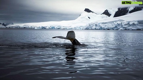 Orlando Bloom Instagram - On this #EarthDay, I’m thinking back to my six week trip to Antarctica — where I got to experience firsthand how remarkable and fragile our planet is w/ my cousin Sebastian Copeland🌏🙏 📸 @copelandadventures