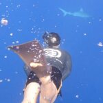 Orlando Bloom Instagram - One of the most remarkable experiences to be so close to these curious, misunderstood predators. 🦈 Thank you @oceanramsey and @juansharks @oneoceandiving we have to STOP 🛑 🚫❌#sharkfinning #sharkfishing #savetheocean