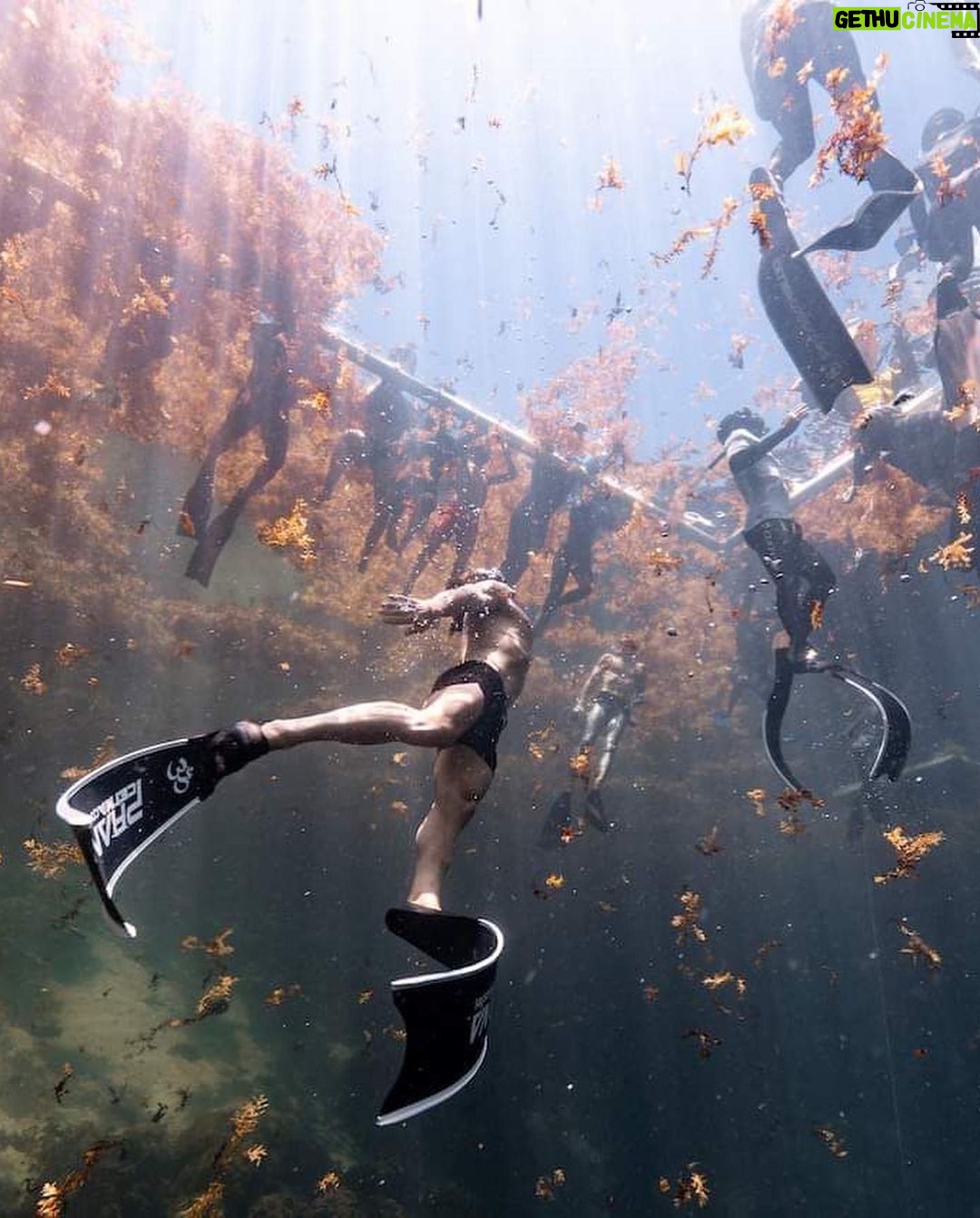 Orlando Bloom Instagram - Swimming up to see @camilajaber break her record for a 2nd time!!! π€Ώπ§ββοΈπ³π¬@vertical_blue Bahamas π§πΈ πΈ: @daanverhoevenfreediver