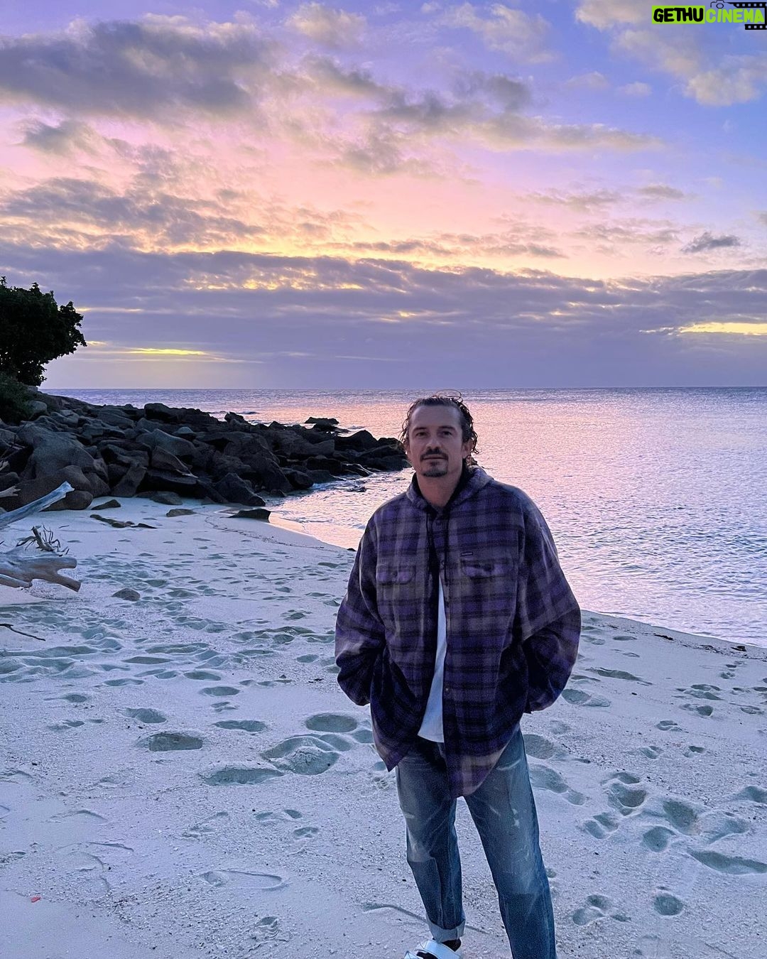 Orlando Bloom Instagram - friend’s become family 💛werk-outs 💨💦 & beach cleaning 🌴🐚🌏WILD wildlife🦎🦈🐨🐍@australia🇦🇺 you gotta lot to offer 🫵🙏☀️