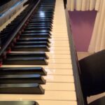 Our Lady J Instagram - Could use a little more practice on this one tbh, but here‘s some Tchaikovsky for your weekend. He would have died for these gloves. #tchaikovsky #piano #concerto