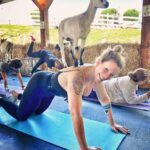Our Lady J Instagram – Namaste from Central PA The Amish Farm and House