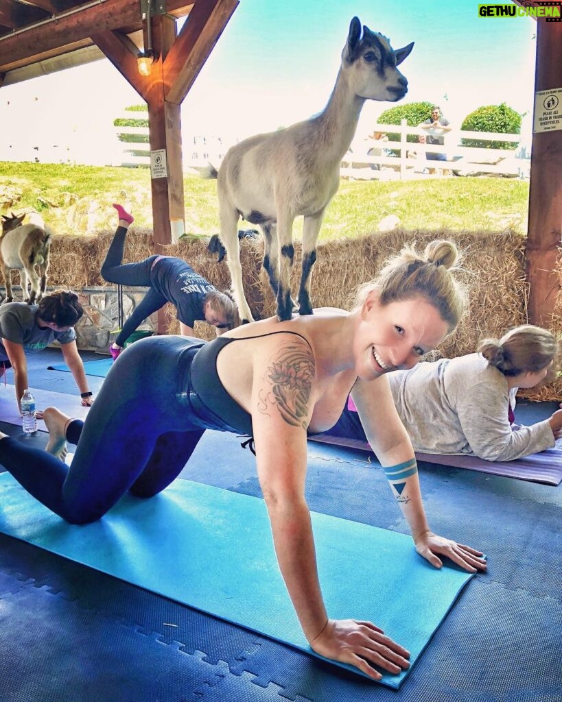 Our Lady J Instagram - Namaste from Central PA The Amish Farm and House