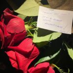 Oya Başar Instagram – #goncavuslateri