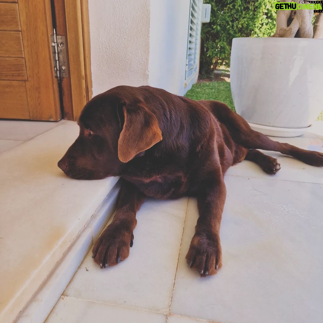 Pablo Alborán Instagram - Días variopintos