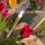 Pantea Panahiha Instagram - .نوروز همگی پیروز 🧿 همه با هم دعا کنیم و بخوایم سال نو به دور از رنج و جنگ و بیماری برای جهان باشه ، الهی که جز مهر و صلح و ارامش و برکت برای هیچ کس نباشه. کاش آدمیزاد گونه با تمام موجودات رفتار کنیم به دور از خشونت و خودخواهی و خونخواهی و تکبر و زیاده خواهی. آمین بنی آدم اعضای یکدیگرند که در آفرینش ز یک گوهرند . قرن نو مبارک