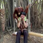Pao Piched Jongjaihan Instagram – ลิงจั๊กๆ ก็มันรักจริงๆ 🤪🙉🙈🙊🐒
.
📸 : @aum.chld