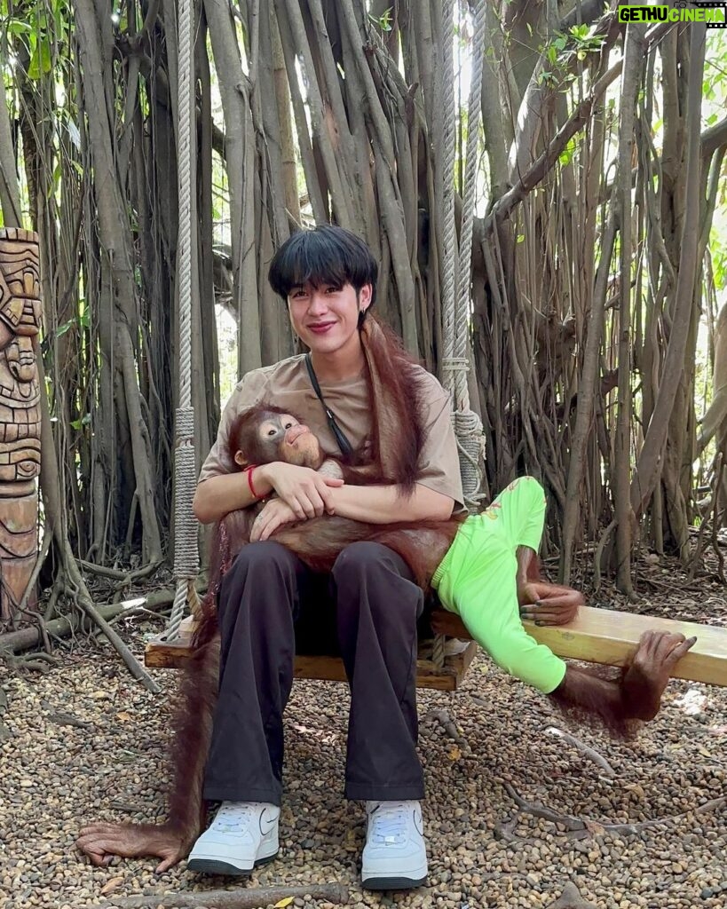 Pao Piched Jongjaihan Instagram - ลิงจั๊กๆ ก็มันรักจริงๆ 🤪🙉🙈🙊🐒 . 📸 : @aum.chld